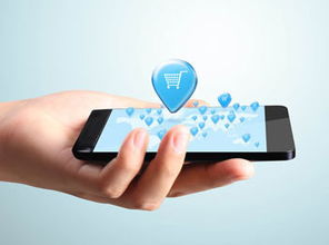 app開發 2016年愛貝兒app開發最新價格