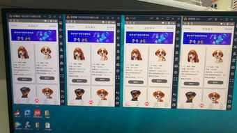 區塊貓 狗區塊鏈寵物街app開發