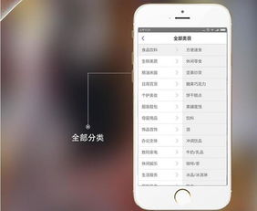 武漢app開發 百分完美的購物類app開發功能解說