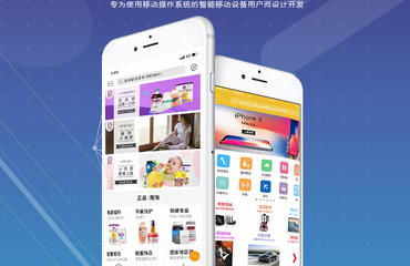 建站 優(yōu)化推廣 小程序和app定制 oa系統(tǒng)開發(fā)