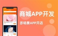 Win10應(yīng)用商店無法安裝應(yīng)用的解決方案及商城系統(tǒng)開發(fā)概述