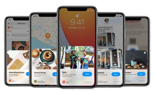 系統集成 發展空間依然廣闊，商城網站與App定制前景可期