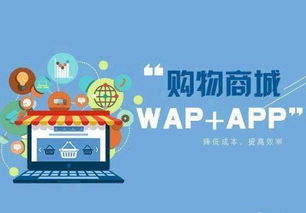 常州專業APP開發公司深度分析 電商APP解決方案與商城系統定制開發全攻略